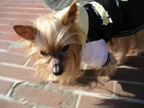 20110108.jpg