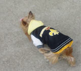 20110201a.jpg