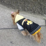 20110201b.jpg