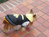 20110201d.jpg