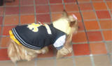 20110201e.jpg