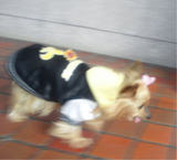 20110201f.jpg