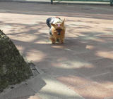 20110202a.jpg