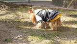 20110202d.jpg