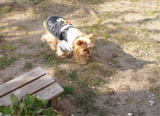 20110202e.jpg